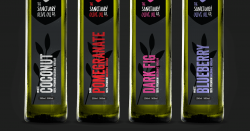 The Sanctuary Olive Oil Co. label design