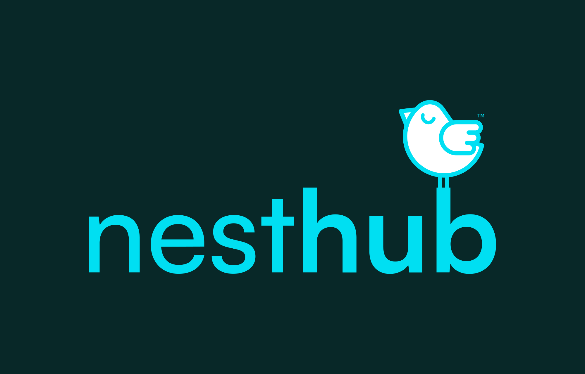 Nest Hub Properties brand