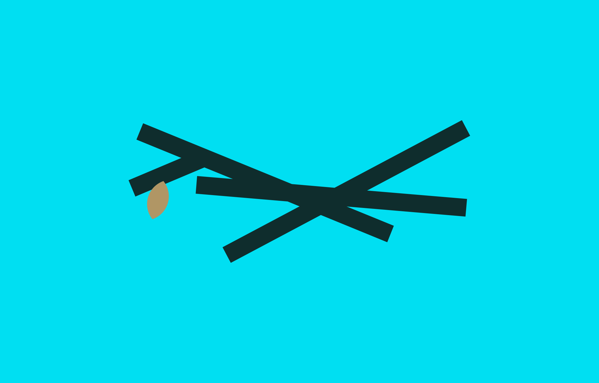 Nest Hub Properties brand