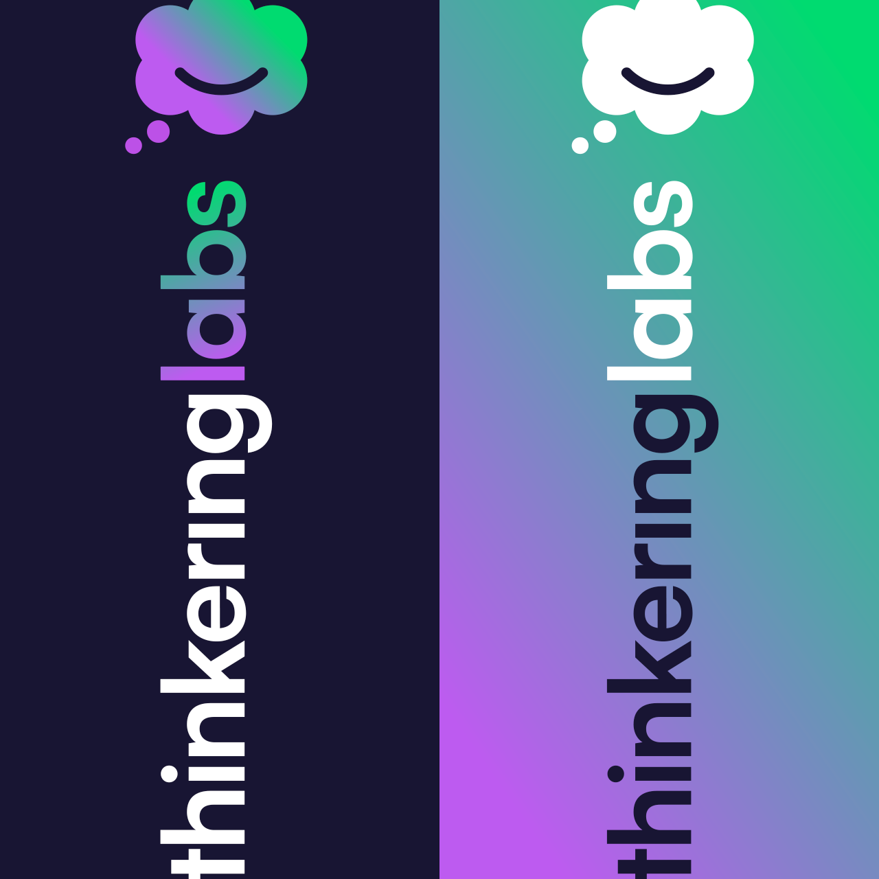 Thinkering Labs - Sub brand