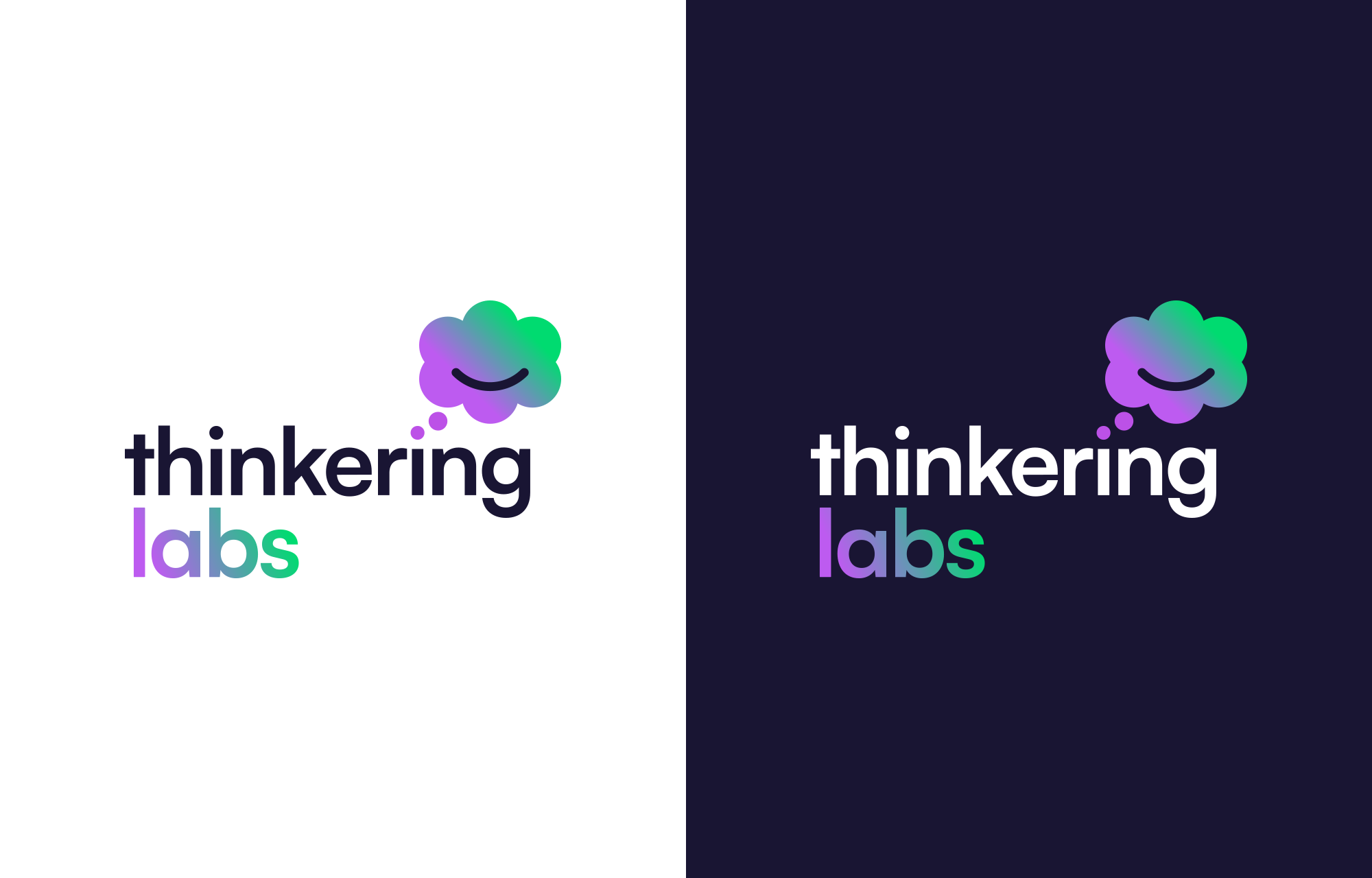 Thinkering Labs - Sub branding
